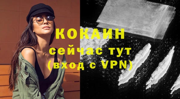 стаф Мегион