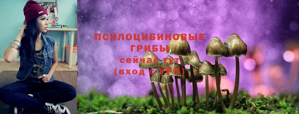 jwh Медвежьегорск