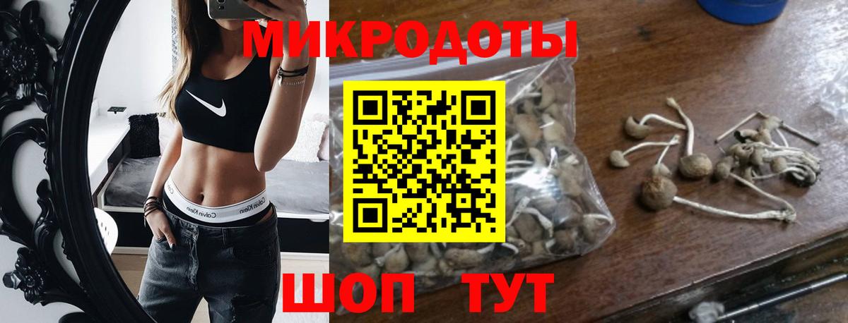 Усть-Кут  Псилоцибиновые грибы Cubensis  Вход с VPN  Галлюциногенные грибы Cubensis 